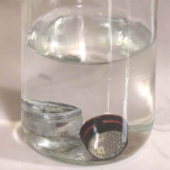 Fjerne kalk kran: Legg alle delene ned i glasset Fjerne kalk kran: Legg alle delene ned i glasset